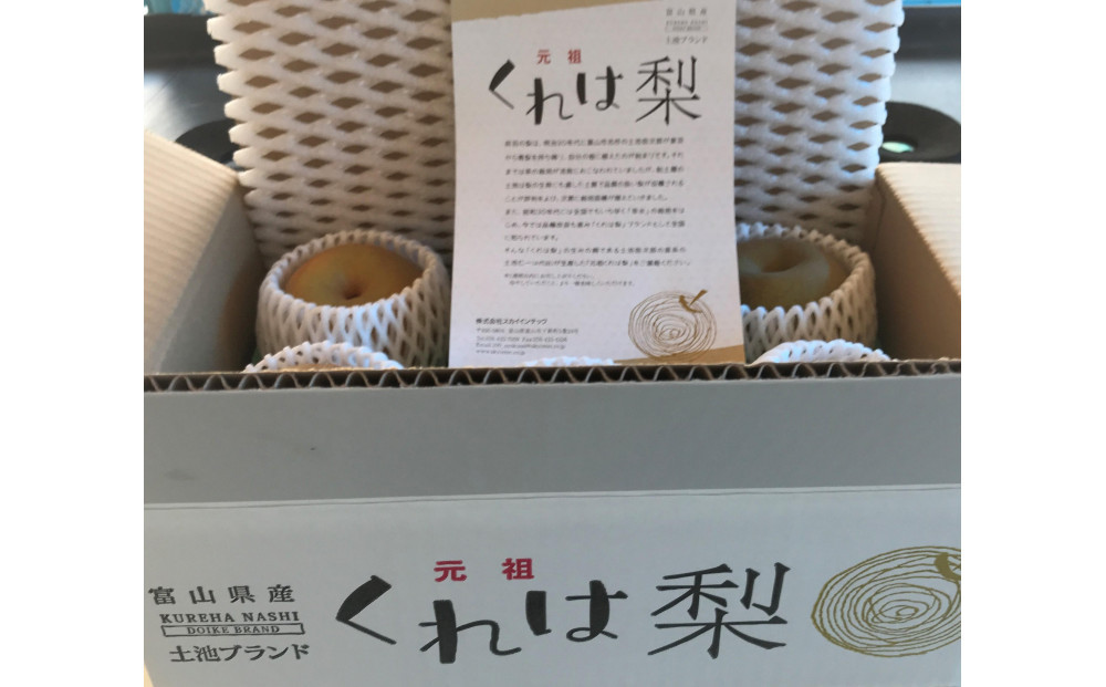 【先行受付】元祖くれは梨 3kg箱