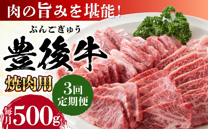 【全3回定期便】おおいた豊後牛 焼肉用 500g 日田市 / 株式会社MEAT PLUS　牛 うし 黒毛和牛 和牛 豊後牛 [AREI098]