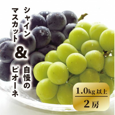 【ふるさと納税】【きよとうファーム】ピオーネ&シャインマスカット詰合せ 中2房 /計1.0kg～(岡山県産)【配送不可地域：離島】【1602758】