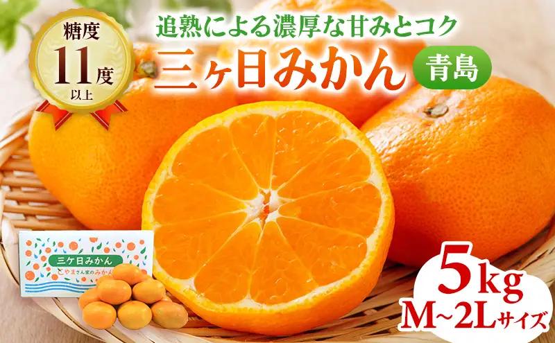 みかん 三ヶ日 5kg 青島 M〜2L 果物 フルーツ みかん