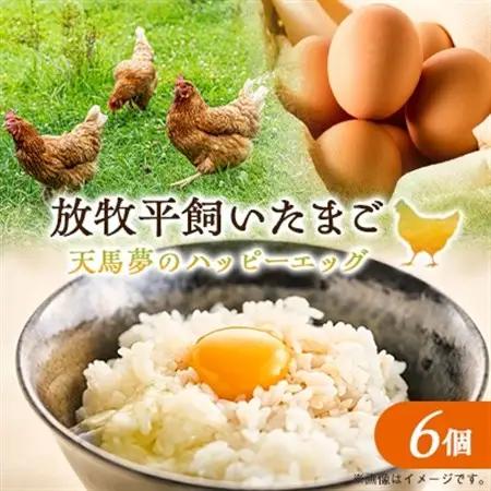 天馬夢のハッピーエッグ　6個_卵・乳製品 卵  たまご タマゴ 玉子_【配送不可地域：離島・沖縄県】【1594978】