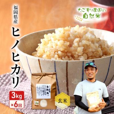 ふるさと納税 小郡市 定期便 6ヶ月 米 たごもり農園の自然米 ヒノヒカリ 玄米 3kg お米[No5354-2133]