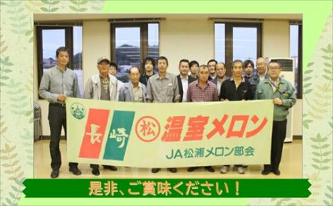 爽やかな初夏の香　キンショーメロン５ｋｇ【123-0002】