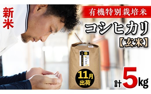 令和8年産・新米 ＜ 11月出荷 ＞ 玄米 5kg 三百年 続く農家 の 有機特別栽培米 コシヒカリ 有機栽培 農創 米 こめ コメ ごはん ご飯 精米 白米 国産 茨城県産 おいしい 新生活 プレゼント 新生活応援 必要なもの 便利 おすすめ 消耗品 一人暮らし 二人暮らし 必要