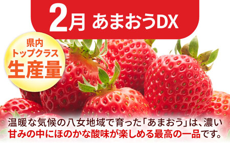 【数量限定！2025年2月より発送開始】【全3回定期便】フルーツ定期便パート2 (いちご・びわ・ぶどう) フルーツ くだもの 果物 果実 イチゴ 苺 ブドウ ビワ 広川町/JAふくおか八女農産物直売所