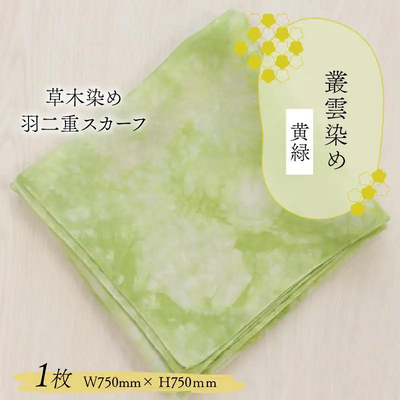 羽二重スカーフ 黄緑 叢雲染め [A-053001]