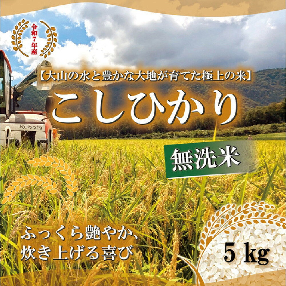 【ふるさと納税】令和7年産　山崎農園こしひかり　無洗米5kg | お米 こめ 白米 食品