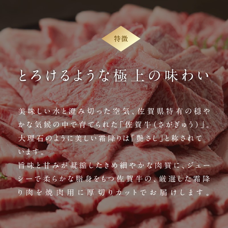 中山牧場 佐賀牛 霜降り 焼肉