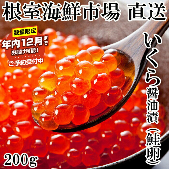 【ふるさと納税】 ★年内 12 月お届け、数量限定でご予約受付中★ いくら醤油漬け ( 鮭卵 ) 200g × 1P イクラ 醤油 醤油漬 魚卵 お取り寄せ グルメ 海鮮 北海道 根室市 ふるさと納税 G-14011
