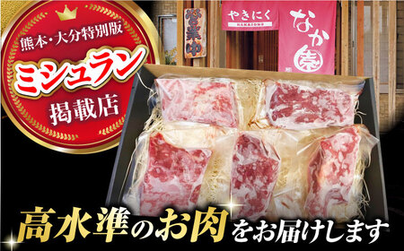 【12回定期便】熊本 馬刺し「なか園」赤身馬刺し 約500ｇ【有限会社スイートサプライなかぞの】[ZBV079]