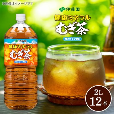 ふるさと納税 牧之原市 伊藤園 健康ミネラルむぎ茶 PET 2L×12本(2ケース)【複数個口で配送】