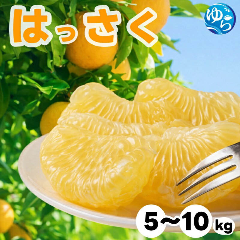 【ふるさと納税】和歌山県産 はっさく 5kg 10kg 不揃い サイズおまかせ / 八朔 柑橘 果物 和歌山 ※2027年2月中旬～3月中旬に順次発送予定 ※北海道・沖縄・離島配送不可