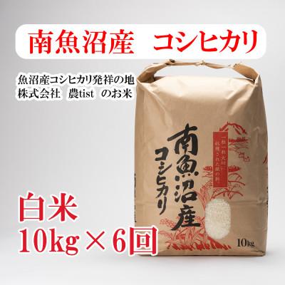 ふるさと納税 南魚沼市 【毎月定期便】南魚沼産 コシヒカリ 白米10kg全6回