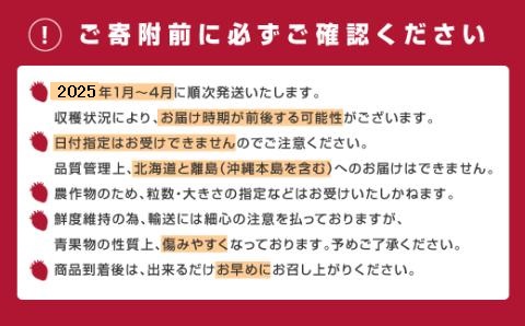 人気№１獲得謝礼品★限定品★あまおう約１，０８０g（先行受付／２０２５年１月以降発送）.AB378