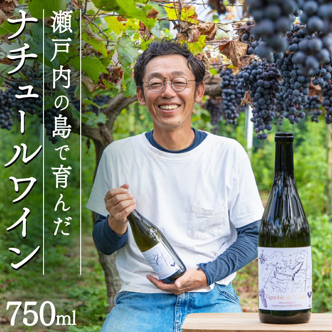 【ふるさと納税】瀬戸内 の ナチュールワイン 750mL 【Vignoble de NAKA 2023 rouge MBA】 ワイン 赤ワイン 国産 酒 お酒 アルコール 無添加 有機栽培 有機ぶどう 保存料不使用 マスカットベーリーA ギフト 贈答 広島 大崎上島