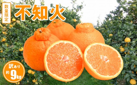 
                  S086-007_訳あり 不知火 約 9kg 数量限定〈先行受付〉 数量限定 先行予約 訳あり 小ぶり フルーツ 国産 いでぽん 甘い ジューシー 柑橘類 果物 みかん 家庭用 爽やか 酸味 バランス 絶妙 果実 旬 食品 ホームパーティー シトラス サラダ カクテル 常温 お取り寄せフルーツ 熊本県 天草市 送料無料
                