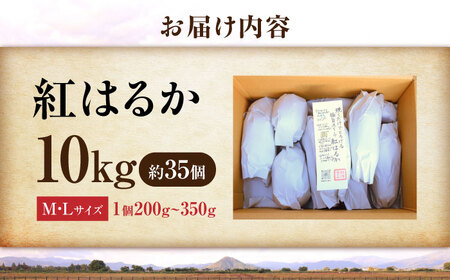 【厳選】紅はるか 10kg 滋賀県長浜市/好作豊吉[AQCF016]