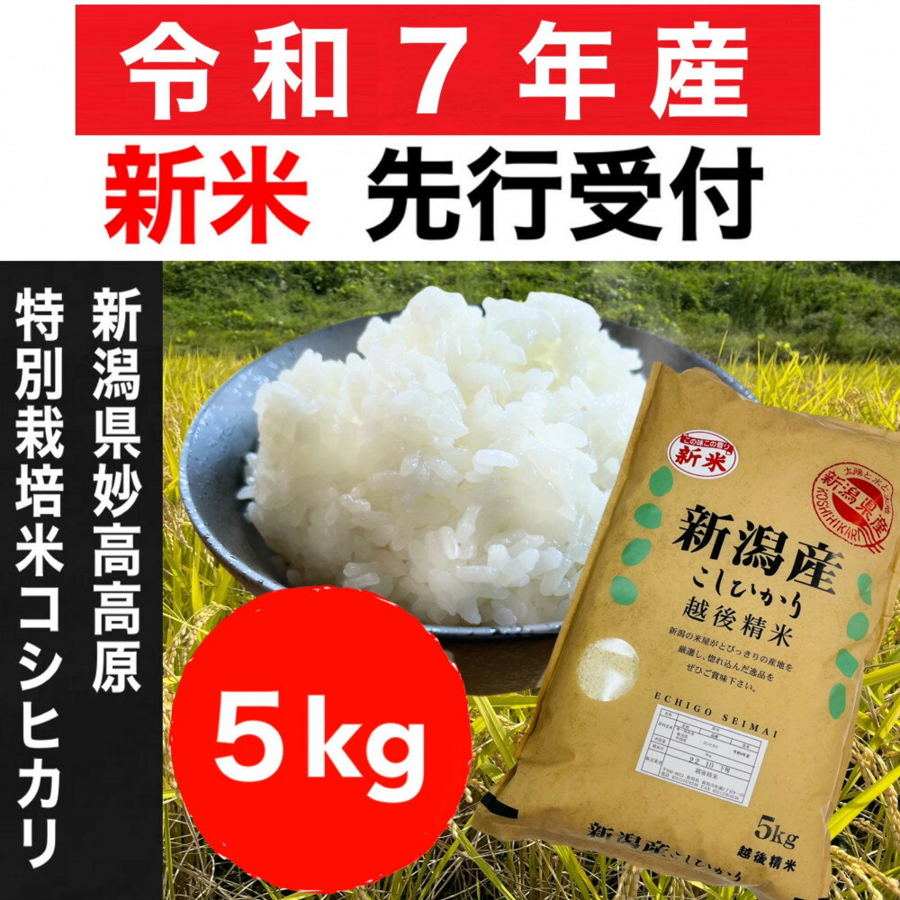 【ふるさと納税】【令和7年産新米・先行予約】新潟県妙高高原減農薬特別栽培米コシヒカリ 5kg（5kg×1袋）【10月下旬から発送予定】 | お米 こめ 白米 食品 人気 おすすめ 送料無料