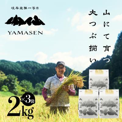 ふるさと納税 下呂市 (2026年10月中旬から順次発送)【2026年産】すがたらいす 山仙2kg×3袋【51-19】