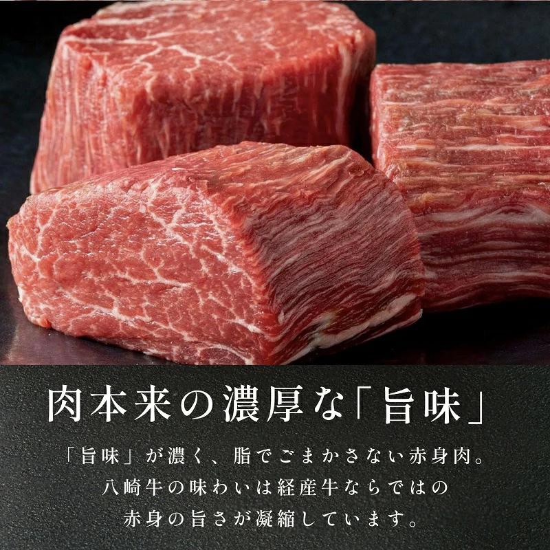 八崎牛のハンバーグ120g×5個 N0105-YZA4408