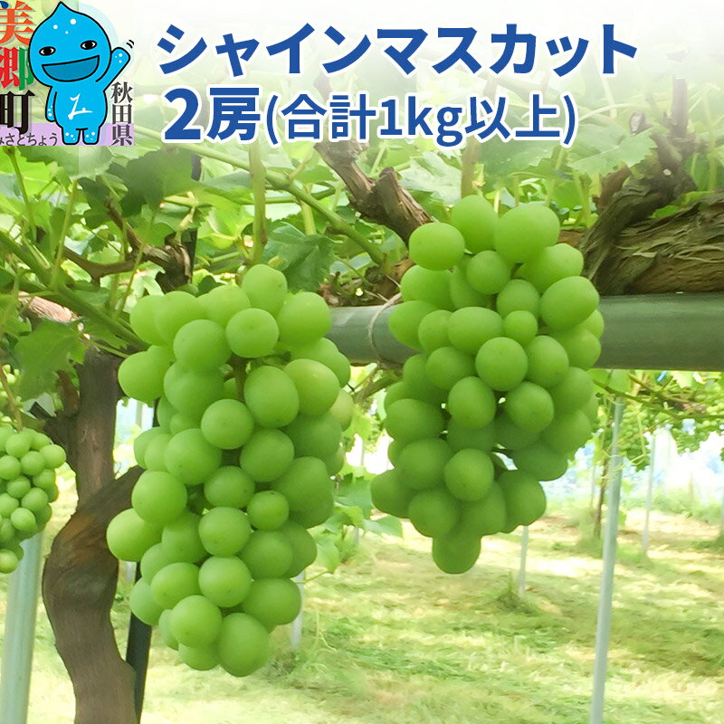 【ふるさと納税】【期間限定】シャインマスカット 2房(合計1kg以上) 9月下旬よりお届け
