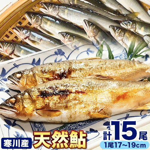 【ふるさと納税】 天然鮎 あゆ 日高川 椿山ダム上流(寒川産) 17cm-19cm 5尾×3パック 計15尾 川漁師なおべ《7月上旬-11月中旬頃出荷》 和歌山県 日高川町 あゆ 鮎 天然鮎 魚