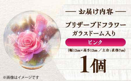 プリザーブドフラワー　ガラスドーム (ピンク) / 花 プレゼント 贈答用 ガラス 母の日 父の日 入学式 卒業式 菊陽町 熊本県【株式会社 美向】[BHDC006]