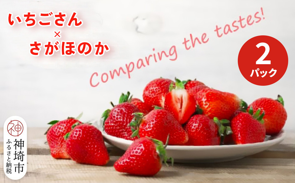 
                  【2027年1月中旬より発送開始】いちご食べ比べ 2パック(いちごさん・さがほのか)【果物 くだもの フルーツ イチゴ 苺 佐賀】(H116135)
                