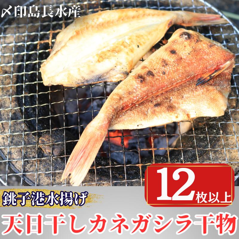 【ふるさと納税】 天日干し カネガシラ 干物 4パック 1パック3~5枚入 計12枚以上 10000円 カナガシラ 小分け 個包装 白身魚 高級魚 冷凍 無添加 新鮮 真空 魚介類 海鮮 焼魚 朝食 夕食 おつまみ 日本酒 ビール 酒の肴 グルメ お取り寄せ 贈り物 銚子港 銚子市 〆印島長水産