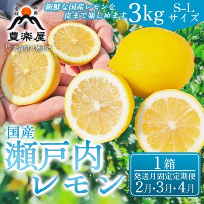 ふるさと納税 八幡浜市 【発送月固定定期便】【防腐剤・ワックス不使用で安心】瀬戸内レモン 3kg S~L【98-46】全3回