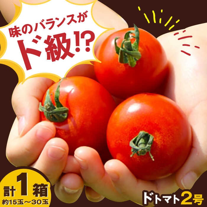 【ふるさと納税】【酸味と甘みのバランスがド級】人気のドトマト2号1箱 / トマト とまと サラダ 野菜 / 佐賀県 / 永尾産ち[41AAAC003]