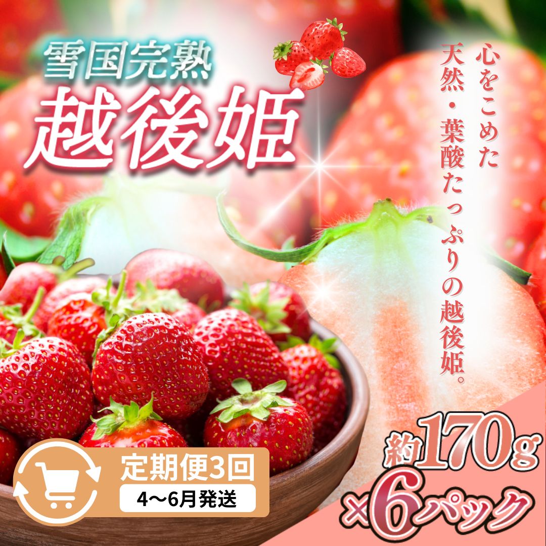 【ふるさと納税】先行予約 定期便 3回【4～6月発送】雪国完熟いちご越後姫 170g×6全3回 定期配送 越後姫 いちご 定期便 完熟 苺 新潟 苺の花ことば　お届け：ご入金確認後、2027年4月～6月の月1回お届け