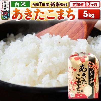 ふるさと納税 男鹿市 新米受付《定期便12ヶ月》【白米】秋田県産 あきたこまち 5kg|23_kml-030512s