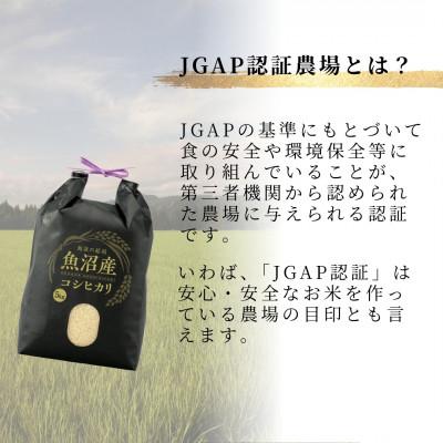 ふるさと納税 小千谷市 魚沼産コシヒカリ 精米 15kg JGAP認証農場 うちがまき絆 |  | 01