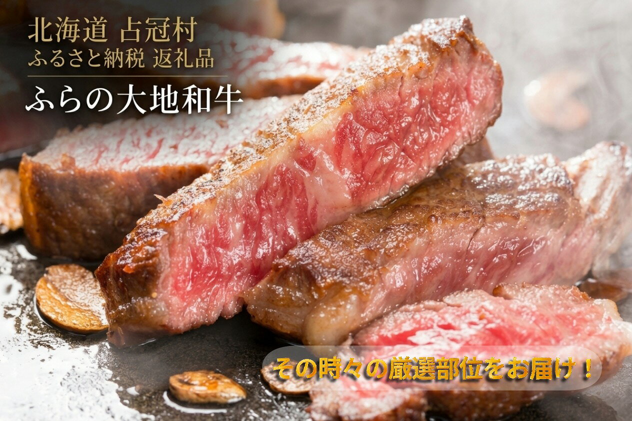 【ふるさと納税】占冠産ふらの大地和牛　ステーキ肉　ヒレ　サーロイン　リブロース　厳選　優良部位　冷凍　黒毛和牛　北海道 占冠村　和牛　人気　送料無料　希少牛
