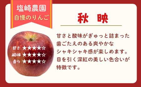 【先行予約】【訳あり】秋映（あきばえ）【約5ｋｇ(11〜20玉)】  (7-A26-2)