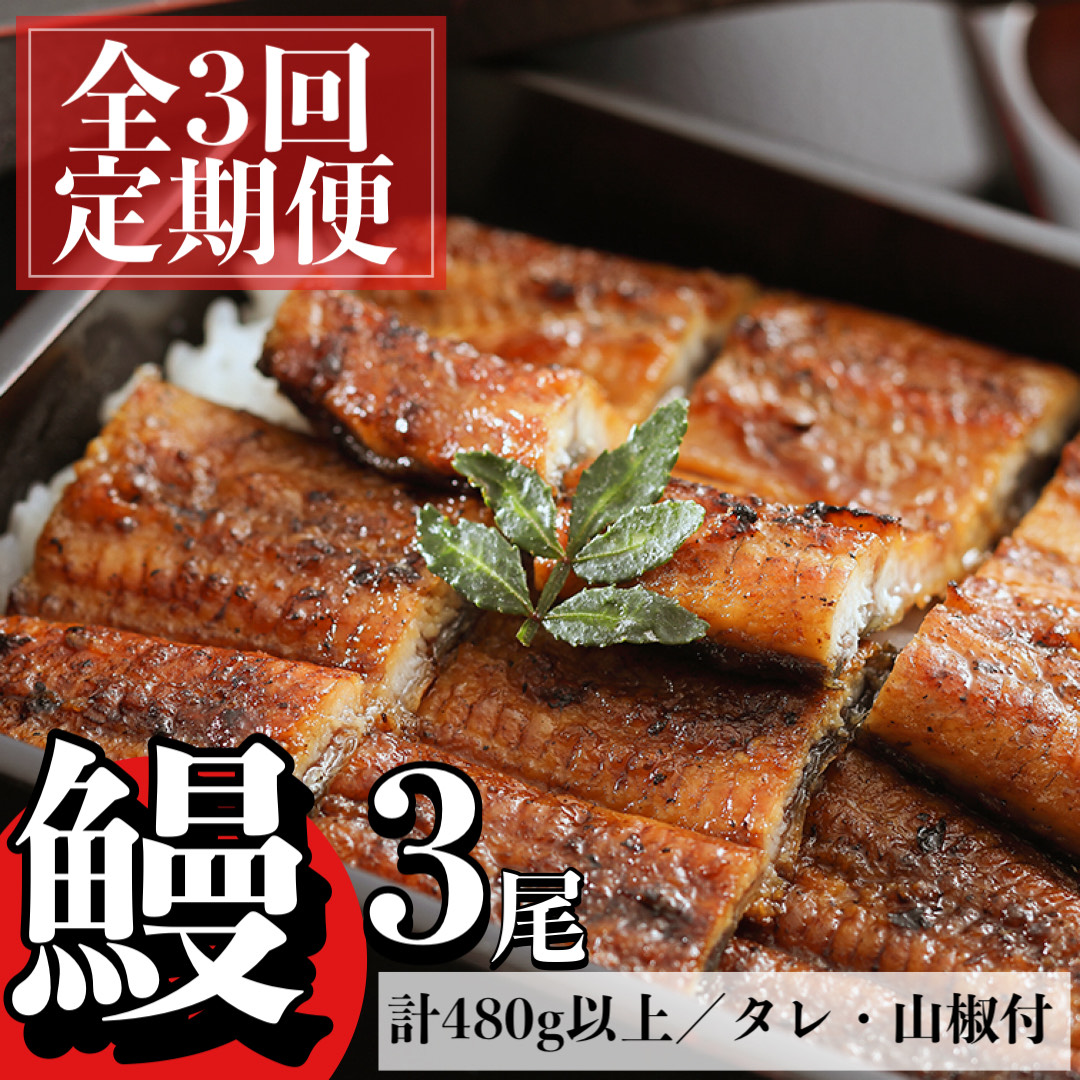 【E57004 】＜定期便・計3回(連続)＞うなぎ蒲焼・大(有頭)(3尾・計480g以上✕3回、タレ、山椒付)