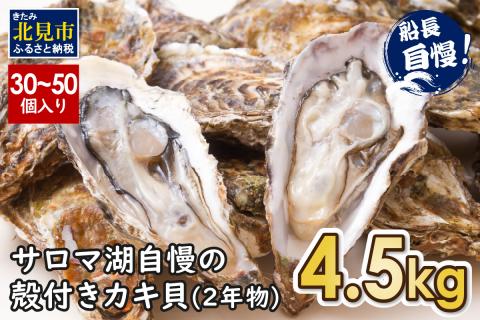 【予約：2024年10月下旬から順次発送】サロマ湖自慢の殻付きカキ貝 2年物 4.5kg詰め ( 牡蠣 かき 濃厚 魚介類 貝類 カキ 牡蠣 北見市 BBQ )【114-0013-2024】