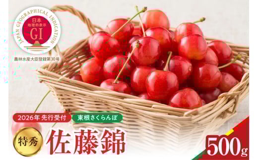 【2026年産　先行予約】真の桜桃 佐藤錦 特秀 500g 山形県 東根市　hi062-046