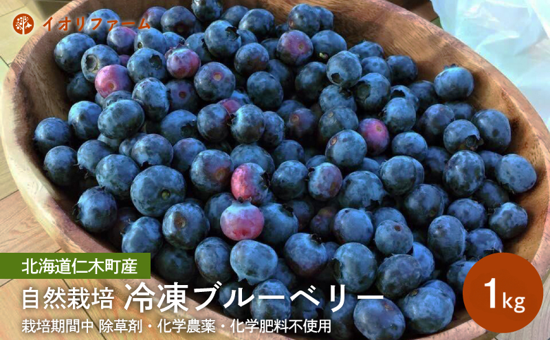 北海道仁木町産 冷凍ブルーベリー1kg 栽培期間中 除草剤・化学農薬・化学肥料不使用【日付指定不可】果物 くだもの フルーツ 冷凍 [iori farm]