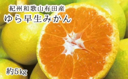 【先行予約】紀州和歌山有田産ゆら早生みかん 5kg　※2026年10月下旬頃〜2026年11月上旬頃順次発送（お届け日指定不可）/ ゆら早生  みかん ミカン  和歌山 早生【uot721】