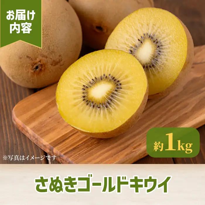 ＜先行予約！2026年10月中旬以降順次発送予定＞香川県産 さぬきゴールドキウイ(約1kg) 国産 果物 フルーツ キウイフルーツ 新鮮【man063-A】【Aglio nero】