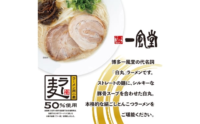 
            【一風堂】白丸ラー麦麺セット 豚骨ラーメン 20食 広川町 / 一般社団法人地域商社ふるさぽ [AFCD186]
          