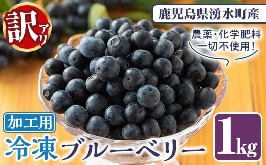 y528 《訳あり・加工用》冷凍ブルーベリー(1kg) 冷凍 無農薬 国産 九州産 鹿児島県産 くだもの 果物 フルーツ シャーベット ジャム フローズン ベリー おやつ デザート 【体験型観光農園さつまドリームファーム】
