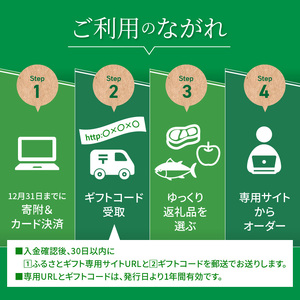 あとからセレクト50万円 N0159-YK006