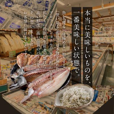 ふるさと納税 佐伯市 老舗海産物問屋 選りすぐり 干物 セット 赤  (9種) |  | 02