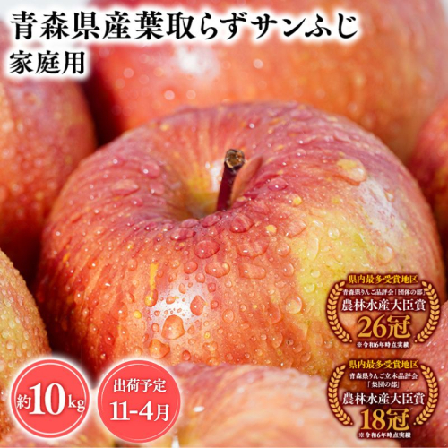 2026年産１１月～4月発送　【訳あり】家庭用葉とらずサンふじ10ｋｇ　【そと川りんご園・１１月・１２月・１月・２月・３月・４月・青森県産・平川市・りんご・葉とらずサンふじ・10ｋｇ・訳あり・家庭用】