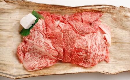 【冷蔵便】【辰屋】神戸牛専門店の贅沢まかない肉（500g）