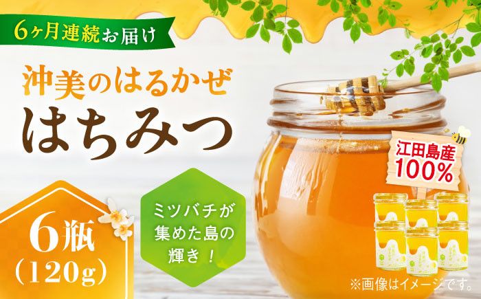 
            【全6回定期便】江田島産100％ はちみつ 『沖美のはるかぜ』120g×6本セット ハチミツ 蜂蜜 国産 広島 江田島市/はつはな果蜂園 [XCD016] ハチミツ 国産蜂蜜 国産はちみつ 国産純粋はちみつ 蜜 蜂蜜 はちみつ ハニー honey 人気ハチミツ 日本蜜蜂 純粋はちみつ 常温 保存 備蓄 防災食 非常食 保存食 産地直送 国産 定期便
          