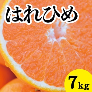 【先行予約】はれひめ約7kg【2025年1月以降発送】新品種 広島 三原 佐木島 鷺島みかんじま フルーツ 蜜柑 柑橘 果物 みかん ミカン 産地直送 お取り寄せ 017019